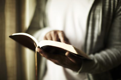A person holding a bible